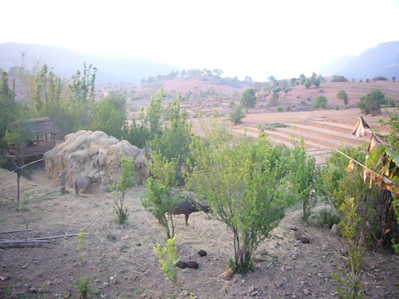 Travel - Myanmar - Kalaw Shan - Trek To Second Village